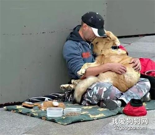 主人和狗狗朝夕相處14年，最后卻親手把它送進收容所...