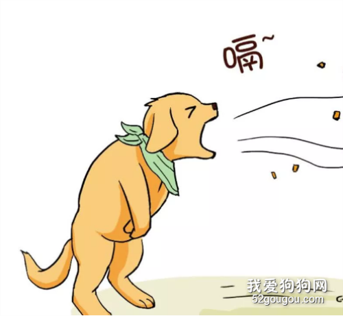 小狗胃胀气会威协性命?宠物医生:这并不是耸人听闻,防范很重要
