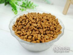 狗糧怎么看好壞 這四招你一定要知道！