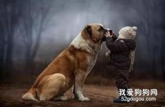 韓國女子懸賞100萬找柯基，一個月后的結果令人震驚！