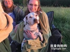 為照顧狗狗最后的時光，她建立了臨終關懷收容院