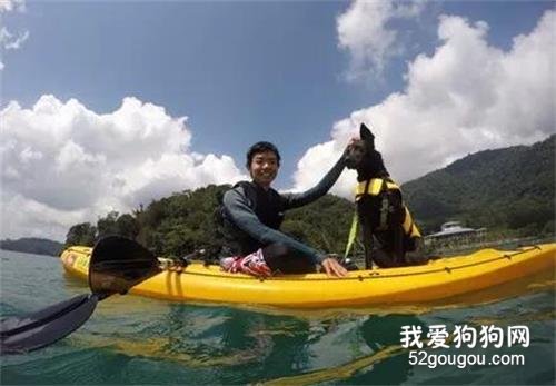 陪我旅行完就收養你，靈性黑狗緊跟男子一個月，終于為自己找到家！