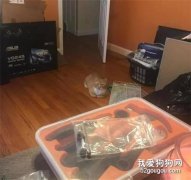 橘貓到了新家，眼睛卻一秒都不敢離開主人，原因讓人好心疼！