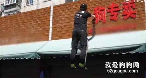沈陽男女暴力抓狗被曝光后，四家狗肉店相繼關門…