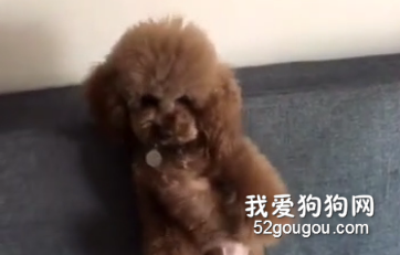 麻麻會使用降龍十八掌，嚇得六一都走光啦~