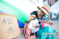 上海大媽帶狗相親，對狗女婿要求高，親女兒嫁出去就行