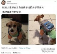 看到大家都在曬孩子返校的照片，一位主人坐不住了……