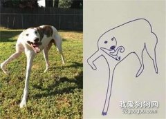 網友突然想畫自家的狗狗，就是這成品，讓人不忍直視！