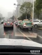 女子把小狗扔在雨中打車離開，小狗奮力追趕：“為什么不要我了？”