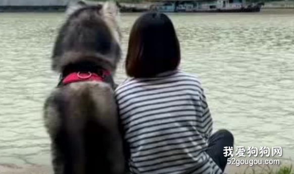 無論做什么都有狗子陪著你，這感覺也太幸福了！