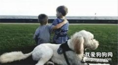 5歲自閉癥小孩，連媽媽都不讓抱，只有這只狗狗是他唯一的玩伴！