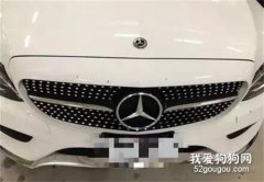 二哈活撕鄰居大奔，手法還很有藝術感，主人哭了