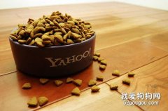 幼犬喂養的狗糧用冷水泡發還是熱水泡發好?