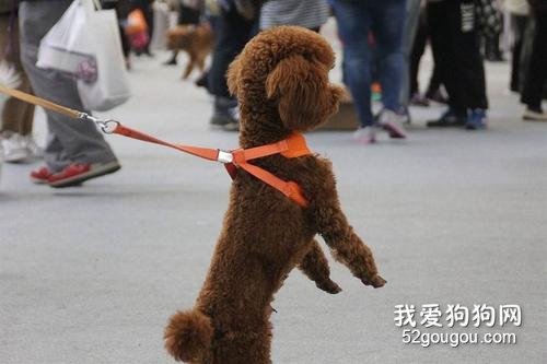 以愛之名的背后，藏得卻是利欲熏心的傷害！
