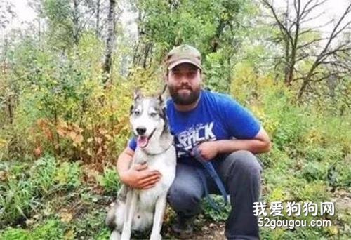 哈士奇丟失四年，主人竟在700公里外找到它，暖哭了！