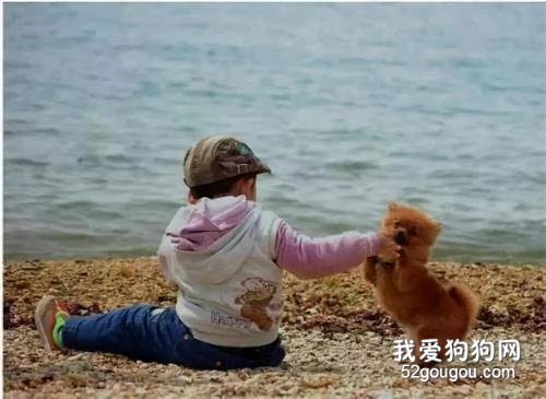 孩童救狗險喪命，網友：你盡管去，背后會有人保護你