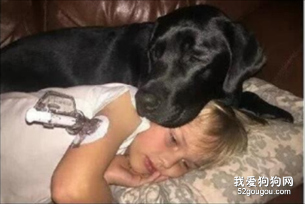 狗狗雖然不會說話，但對主人的滿滿愛意都在行動里…