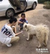 一飯之恩卻讓流浪狗追車千米，帶去醫院檢查后哭了，可憐的孩子…