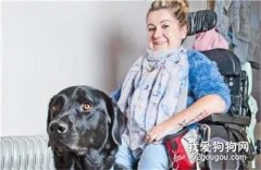 一只服務犬保姆狗狗，拯救了肌肉萎縮患者的生活