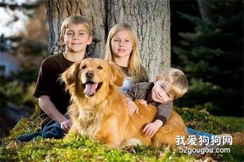 所有動物里，為什么只有狗最愛人類？