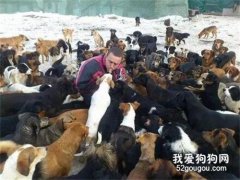 男子養了4只小狗，結果一年后，竟然變成了750只！