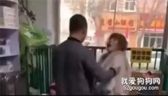 女子連續殺死數十只寵物狗后循環詐騙寵物店