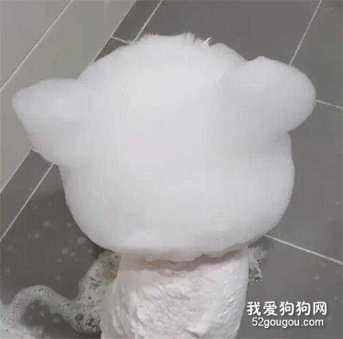 看一只狗洗澡的樣子，竟然給看餓了！