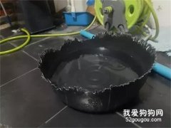 下班發現水碗被咬這樣，網友正想教訓狗子，轉頭卻笑噴！