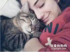 貓咪臨終前,我才知道它有多愛我!