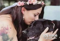 寵物十大致死原因，養狗請愛狗