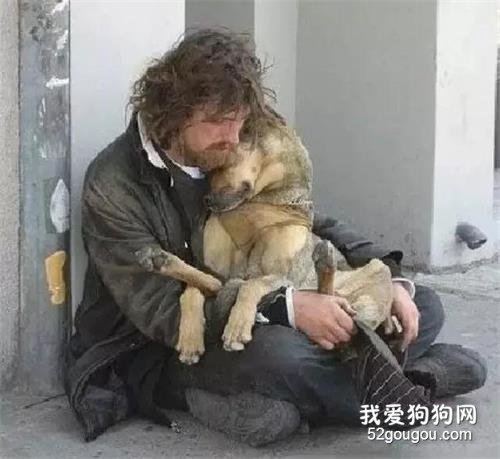 狗狗的忠誠讓你意想不到，說不出的感動