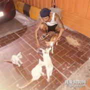 小哥身無分文，卻用這種溫暖的方式幫助全城的流浪貓！