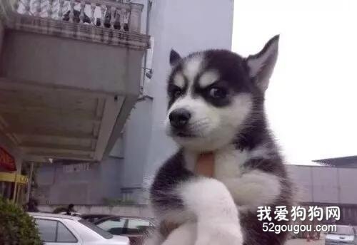 帶前男友去絕育，還嘲笑ta尿床，這操作...