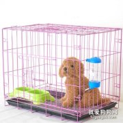 挑選寵物狗籠子的三大技巧