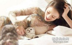貓咪換主人會難過嗎 貓咪的性格也是不同的