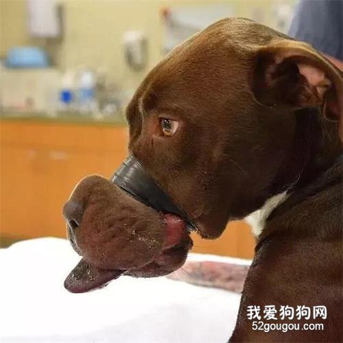 慘遭膠帶綁嘴長達36小時，只因虐待者覺得太吵！