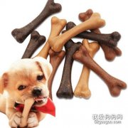 狗狗磨牙怎么辦 狗狗必備四種磨牙玩具