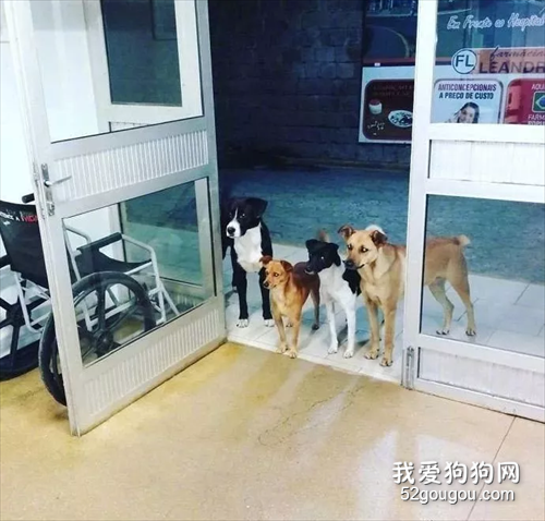 一場孤獨的凌晨就診，卻因為這群特殊的朋友，有了不一樣的溫暖