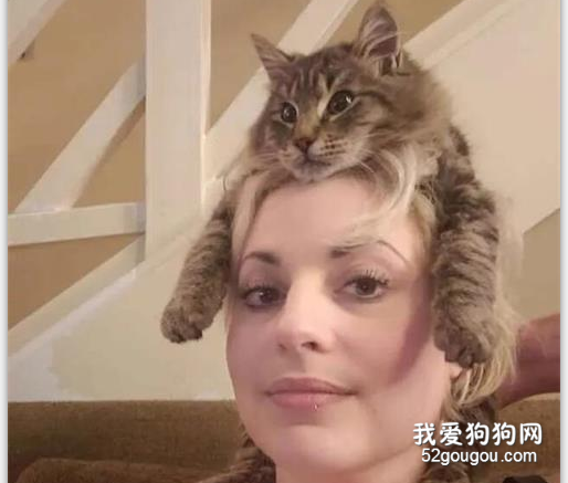 主人在看電視，貓看到她的頭后，卻干出這種事，好貼心！