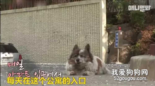 2020年到了，它們依然會等著你...