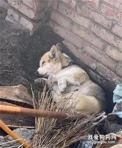 接到照片還以為發現了命案，后來才知道是挖土基斷電了...
