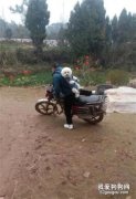 帶狗子回老家過年，爸爸非要騎車帶它去逛街，結果回來時都被嚇尿褲了！
