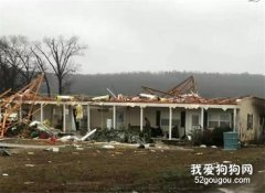 龍卷風襲來的那天，狗狗突然不見了……