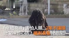 “拖把狗”街頭晃蕩兩年無人靠近，剃去長發后狗生竟出現驚天大逆轉！