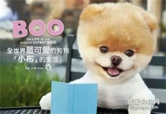 為何狗狗吃了驅蟲藥一直拉稀？
