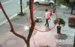 不戴口罩、不牽狗繩？男子遛狗縱容流浪狗被咬死 網友：嚴懲