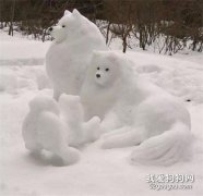 網友堆了一個小薩形狀的雪人，薩摩看過之后氣壞了：“請問這是什么玩意？！”