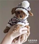 有一種冷叫你媽覺得你冷，還有一種冷叫主人也覺得你冷
