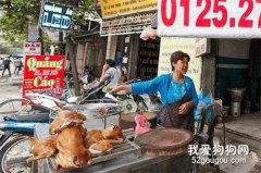 越南殘忍的“狗肉文化”，整個城市的空氣中都彌漫著狗肉香