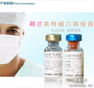 六聯疫苗到底都預防哪些病的？